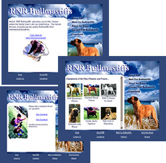 RNR Bullmastiffs